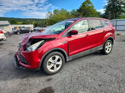 1FMCU9GX7EU****** 2014 Ford Escape