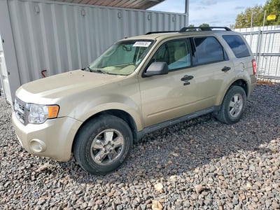 1FMCU0DG8CK****** 2012 Ford Escape
