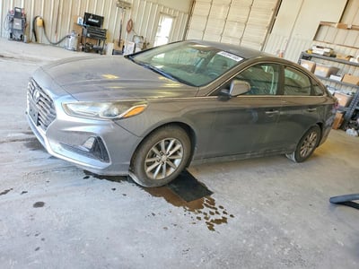5NPE24AF8KH****** 2019 Hyundai Sonata