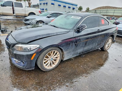 WBA1F9C58GV****** 2016 BMW 2 Series