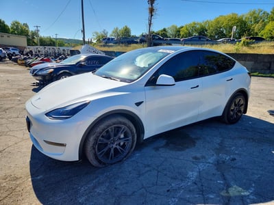 7SAYGDEE1RF****** 2024 Tesla Model Y