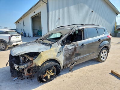 1FMCU9GX3DU****** 2013 Ford Escape
