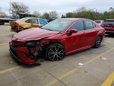 4T1T11BK9MU****** 2021 Toyota Camry