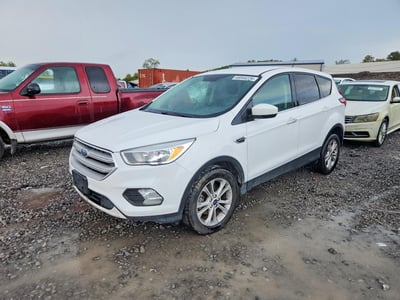 2019 Ford Escape