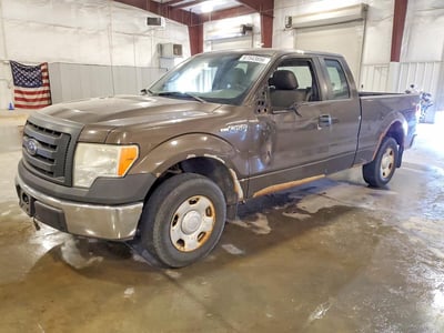 1FTRX12V59K****** 2009 Ford F-150