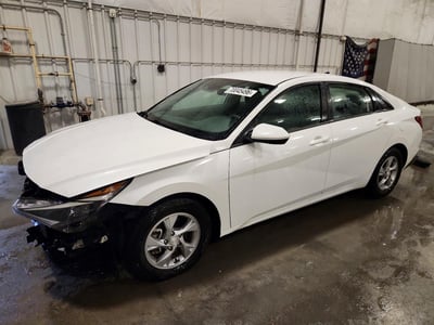 5NPLL4AG5PH****** 2023 Hyundai Elantra