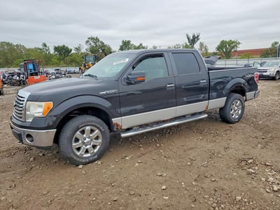 1FTFW1EV3AF****** 2010 Ford F-150