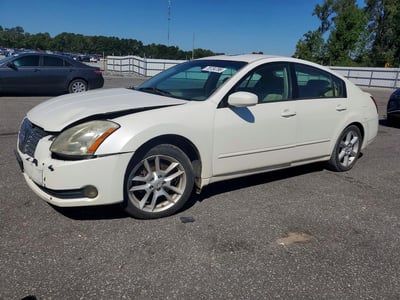 1N4BA41E95C****** 2005 Nissan Maxima