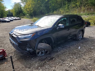 2T3P1RFV2RW****** 2024 Toyota RAV4