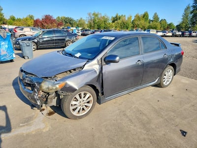 1NXBU40E29Z****** 2009 Toyota Corolla