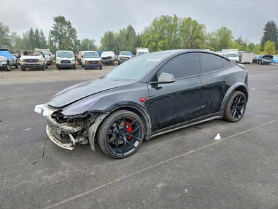 7SAYGDEF7PF****** 2023 Tesla Model Y