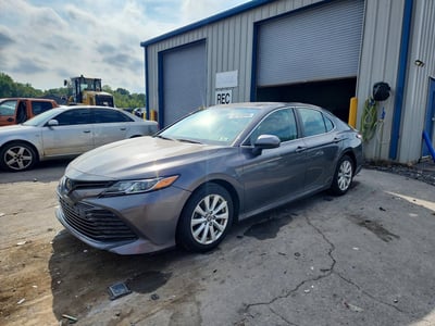 4T1B11HK3KU****** 2019 Toyota Camry