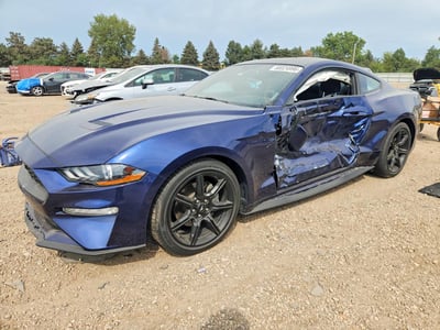 1FA6P8TH5K5****** 2019 Ford Mustang