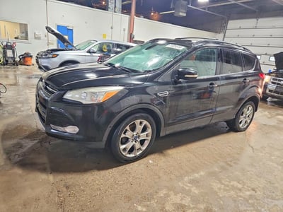 1FMCU0HX2DU****** 2013 Ford Escape