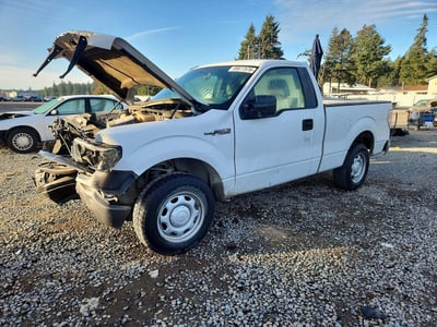 1FTMF1CMXDF****** 2013 Ford F-150