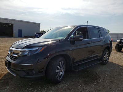 5FNYF6H52KB****** 2019 Honda Pilot