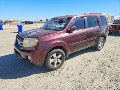 5FNYF4H45BB****** 2011 Honda Pilot