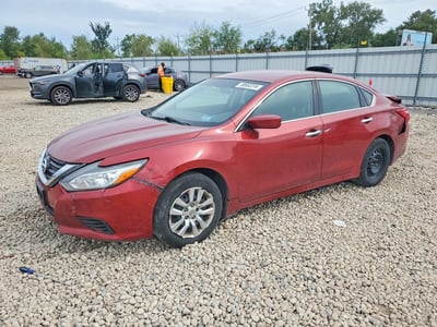 1N4AL3AP7GN****** 2016 Nissan Altima
