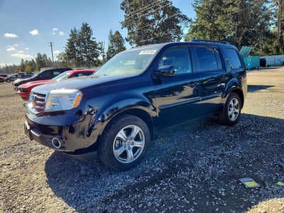 5FNYF4H51DB****** 2013 Honda Pilot