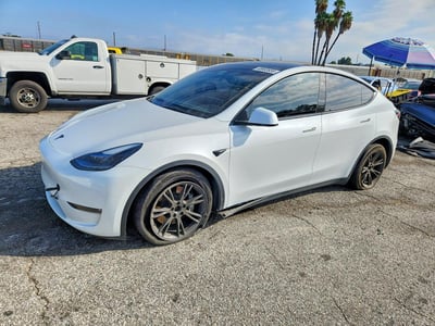 7SAYGDEE8RF****** 2024 Tesla Model Y