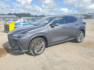 JTJGKCEZ7P5****** 2023 Lexus NX