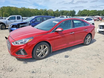 5NPE34AF7KH****** 2019 Hyundai Sonata