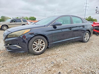 5NPE24AF6GH****** 2016 Hyundai Sonata