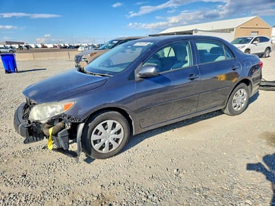 2T1BU4EEXAC****** 2010 Toyota Corolla