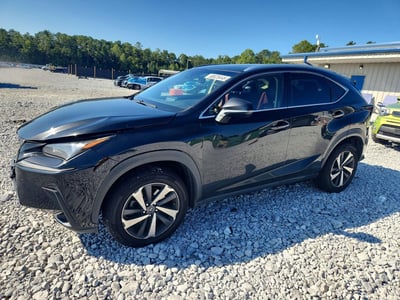 JTJBARBZ1J2****** 2018 Lexus NX 300