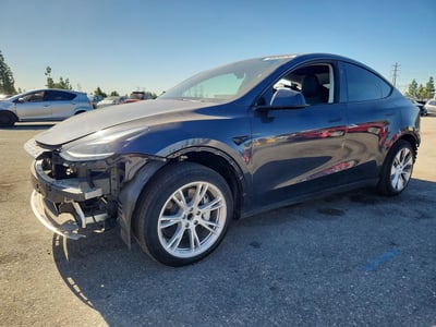 7SAYGDEDXRF****** 2024 Tesla Model Y