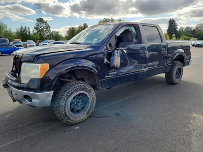 1FTFW1ET7BF****** 2011 Ford F-150