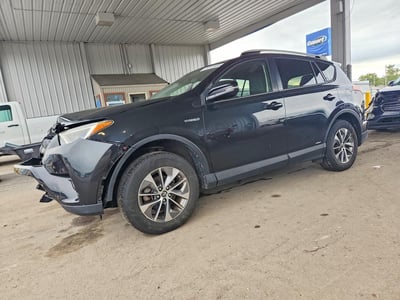 JTMRJREV1GD****** 2016 Toyota RAV4