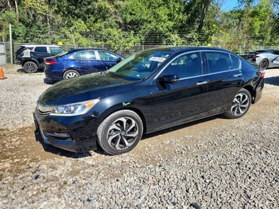 1HGCR3F06HA****** 2017 Honda Accord