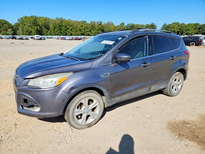 1FMCU0GXXDU****** 2013 Ford Escape
