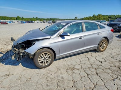 5NPE24AF1GH****** 2016 Hyundai Sonata