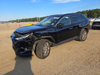 2T3Y1RFV2RC****** 2024 Toyota RAV4