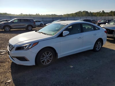 5NPE24AF9GH****** 2016 Hyundai Sonata