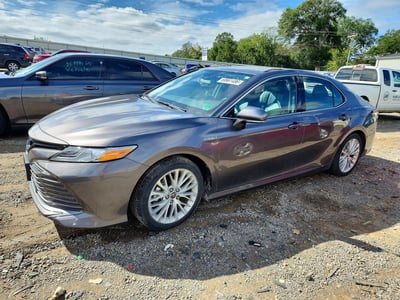 4T1F31AK5LU****** 2020 Toyota Camry