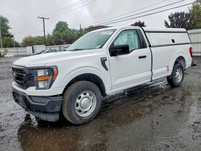 1FTMF1EB0PK****** 2023 Ford F-150