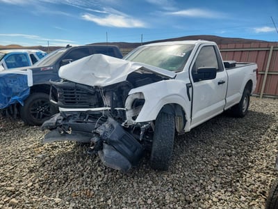 1FTMF1LP3RK****** 2024 Ford F-150