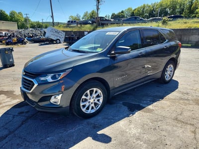 3GNAXKEV3KS****** 2019 Chevrolet Equinox