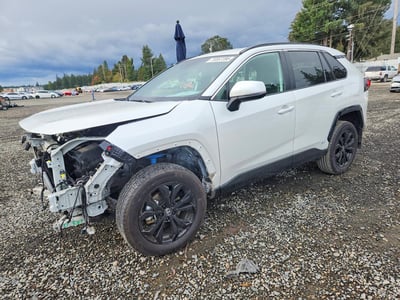 2T3T6RFV4RW****** 2024 Toyota RAV4 Hybrid