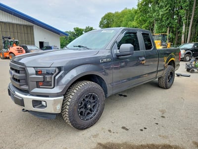 1FTEX1E89GF****** 2016 Ford F-150
