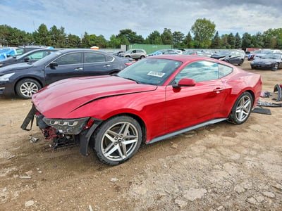 1FA6P8TH3R5****** 2024 Ford Mustang