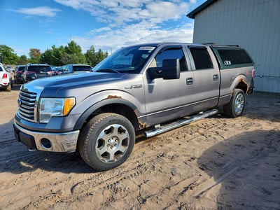 1FTFW1EV4AF****** 2010 Ford F-150