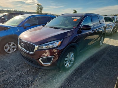 5XYPGDA59GG****** 2016 Kia Sorento