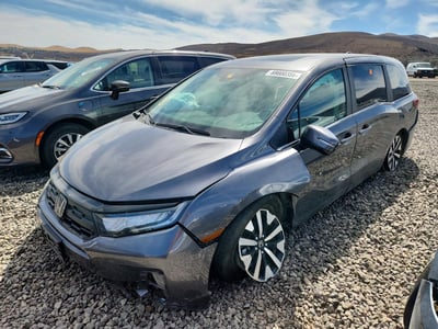 5FNRL6H61SB****** 2025 Honda Odyssey