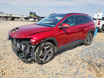 5NMJECDE5RH****** 2024 Hyundai Tucson