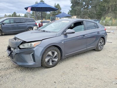 KMHC75LC2KU****** 2019 Hyundai Ioniq