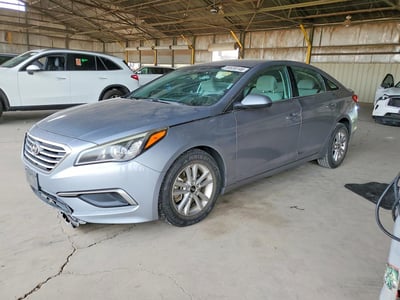 5NPE24AF8GH****** 2016 Hyundai Sonata